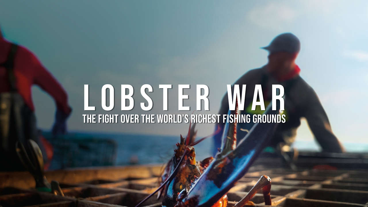 ドキュメンタリー・ショーケース『 LOBSTER WAR : 世界で最も豊かな漁場をめぐる戦い』が3月16日(土)にサイエントロジー・ネットワークで放映されます – valuepress（バリュープレス）