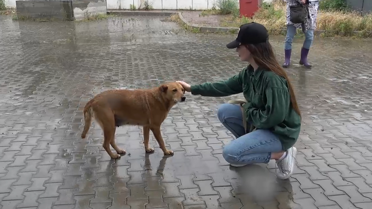 戦禍のウクライナで暮らす日本人監督による生々しい”犬”と”戦争”の記録。ドキュメンタリー映画『犬と戦争　ウクライナで私が見たこと』2月公開決定！東出昌大がナレーションを担当。