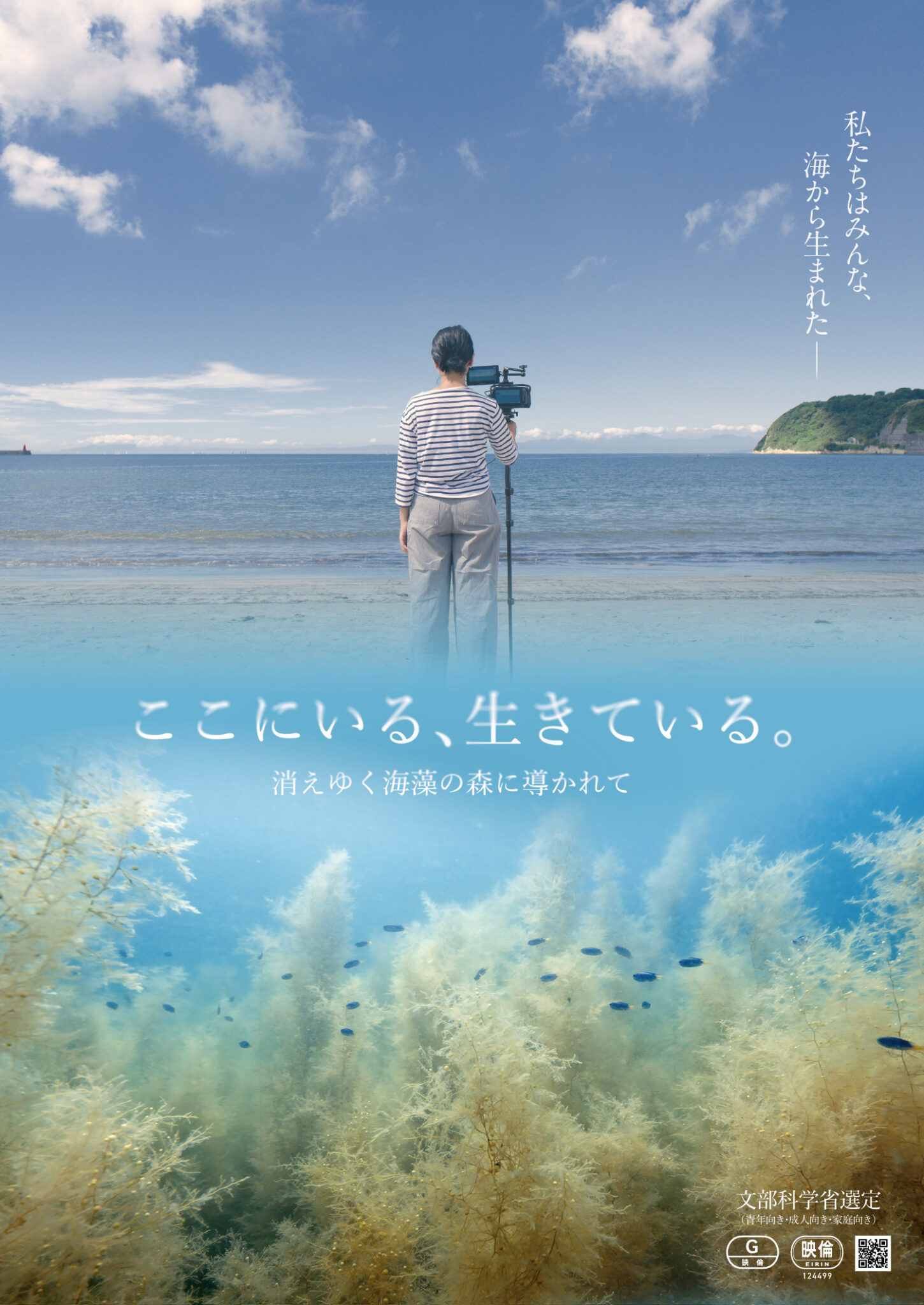 日本初の海藻ドキュメンタリー映画『ここにいる、生きている。～消えゆく海藻の森に導かれて～』2025.1.10（金）アップリンク吉祥寺ほか全国ロードショー決定