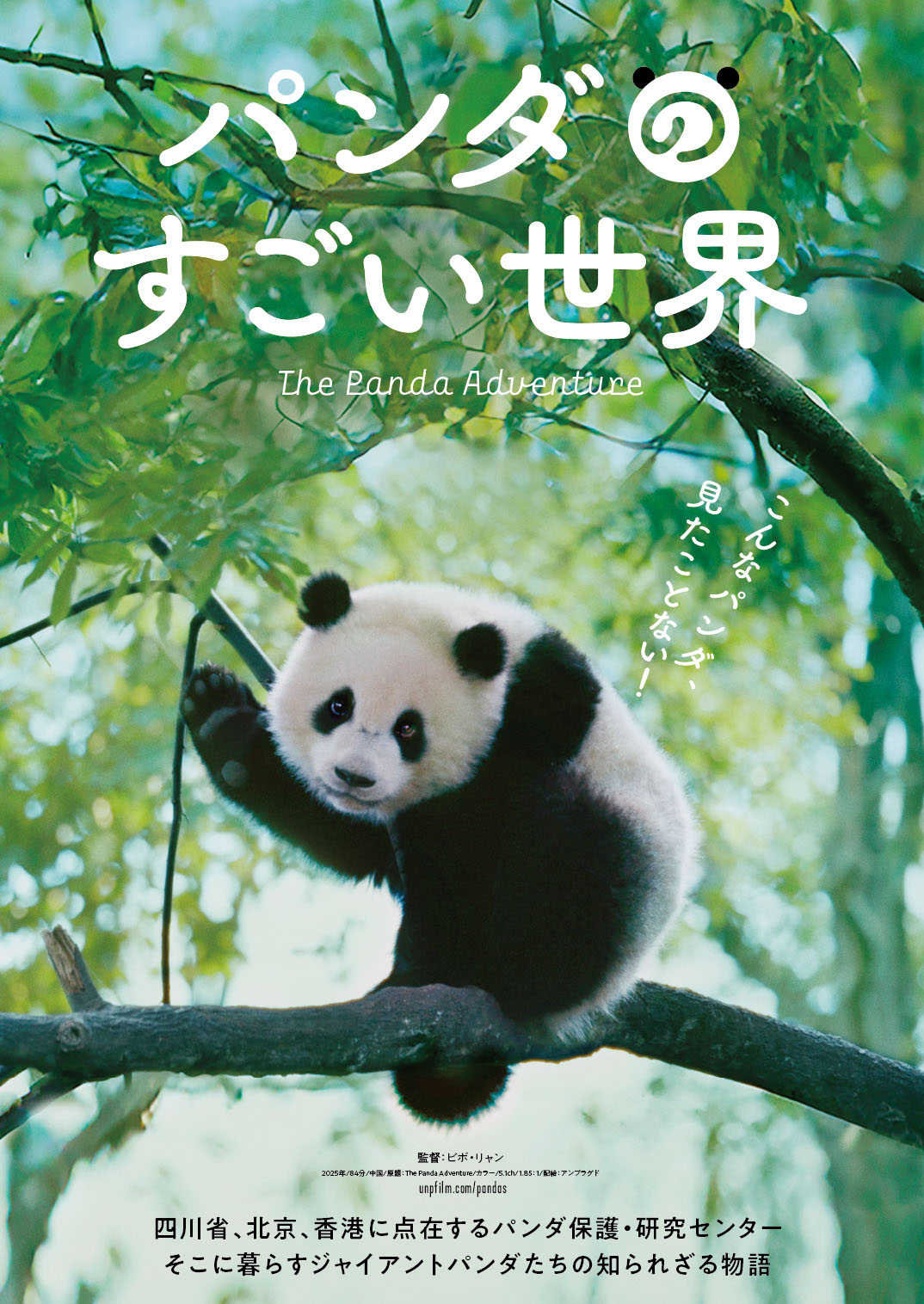 パンダの一生に迫るドキュメンタリー『パンダのすごい世界』2026.2.6