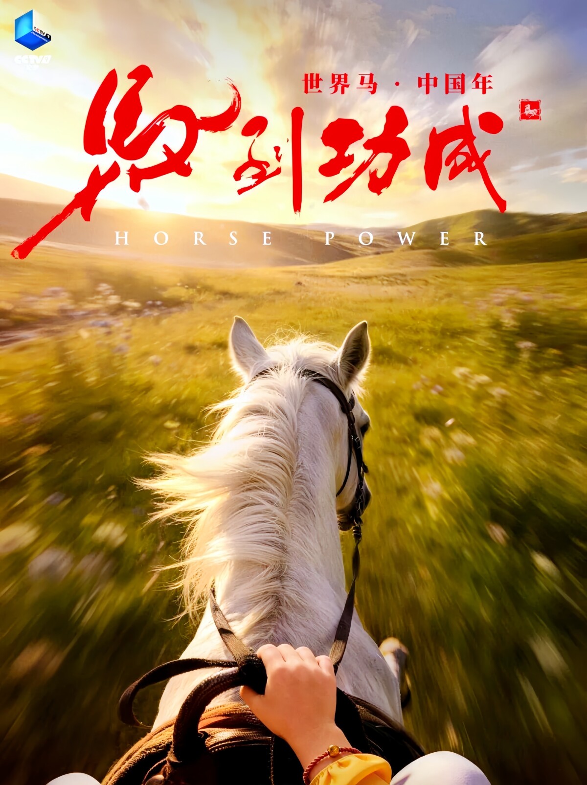 馬をテーマにしたIMAX仕様ドキュメンタリー映画がロンドンで上映 CMG主導で制作