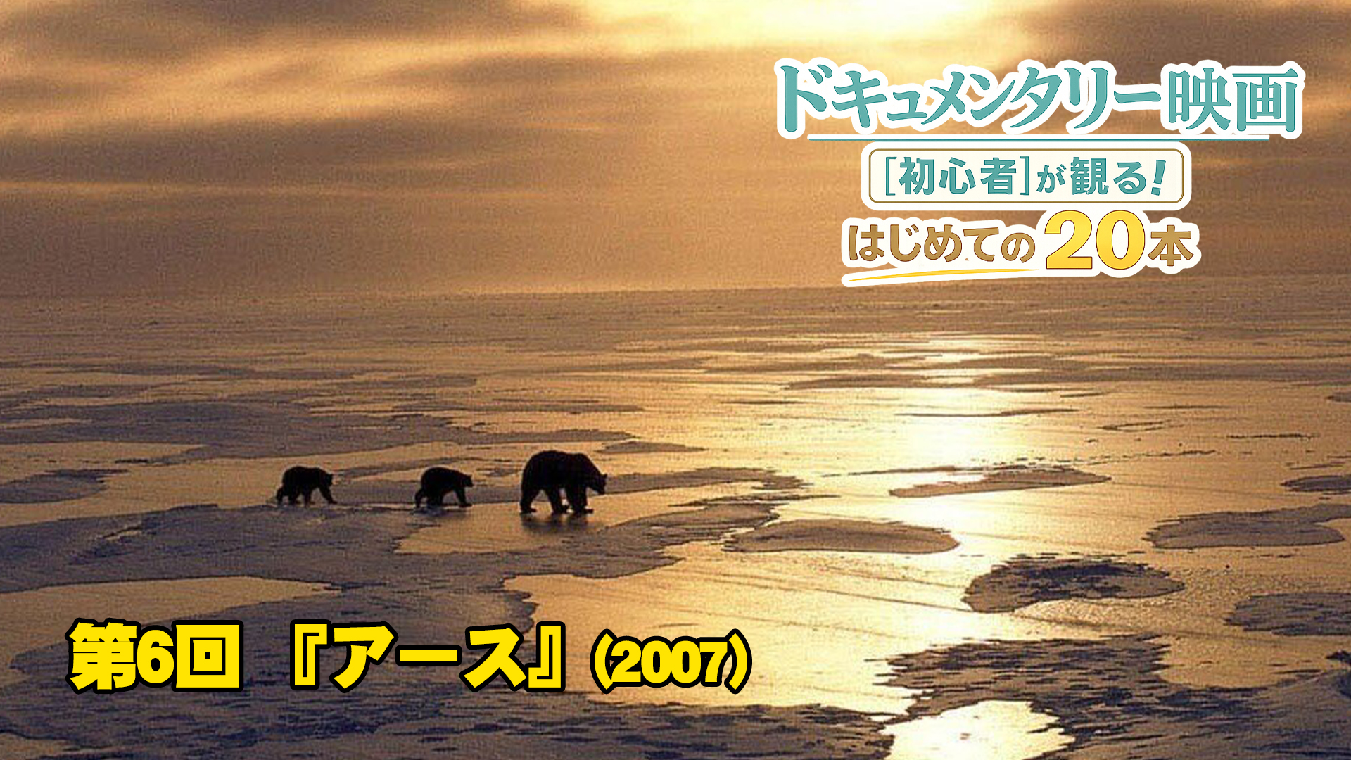 【コラム】『アース』これが私たちの生きる星のすべて――息を呑む映像美で体感する生命のドラマ｜ドキュメンタリー映画[初心者]が観る！はじめての２０本【第6回】