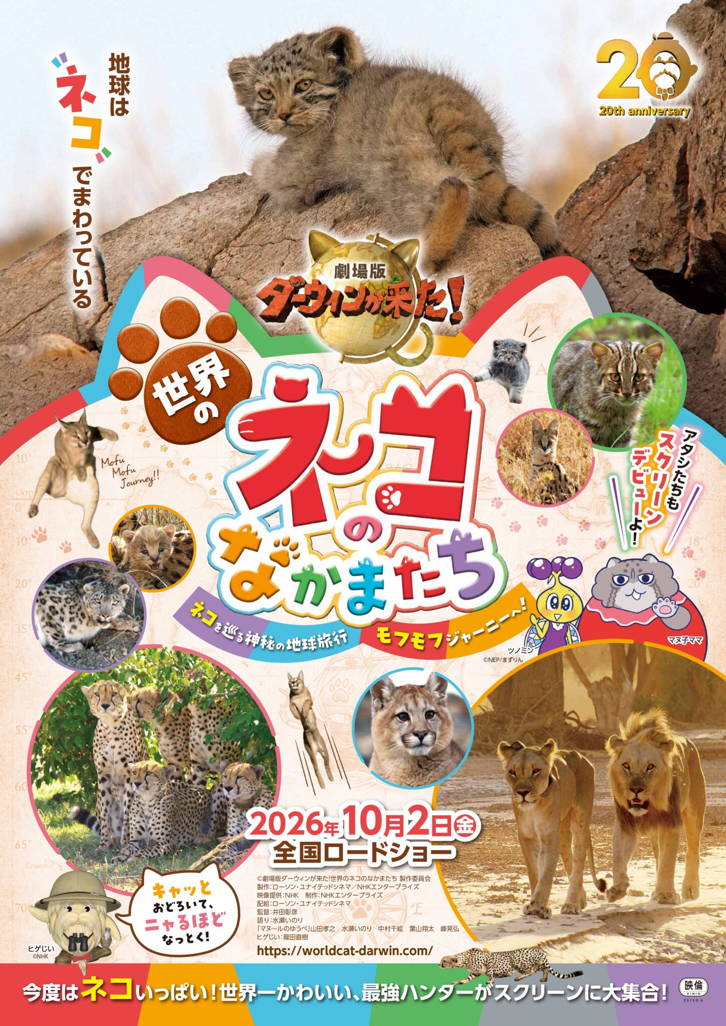劇場版第6弾はネコづくし！『劇場版ダーウィンが来た！世界のネコのなかまたち』10月2日公開決定！山田孝之「ネコ・猫・ねこ・・それは究極の生きもの！」